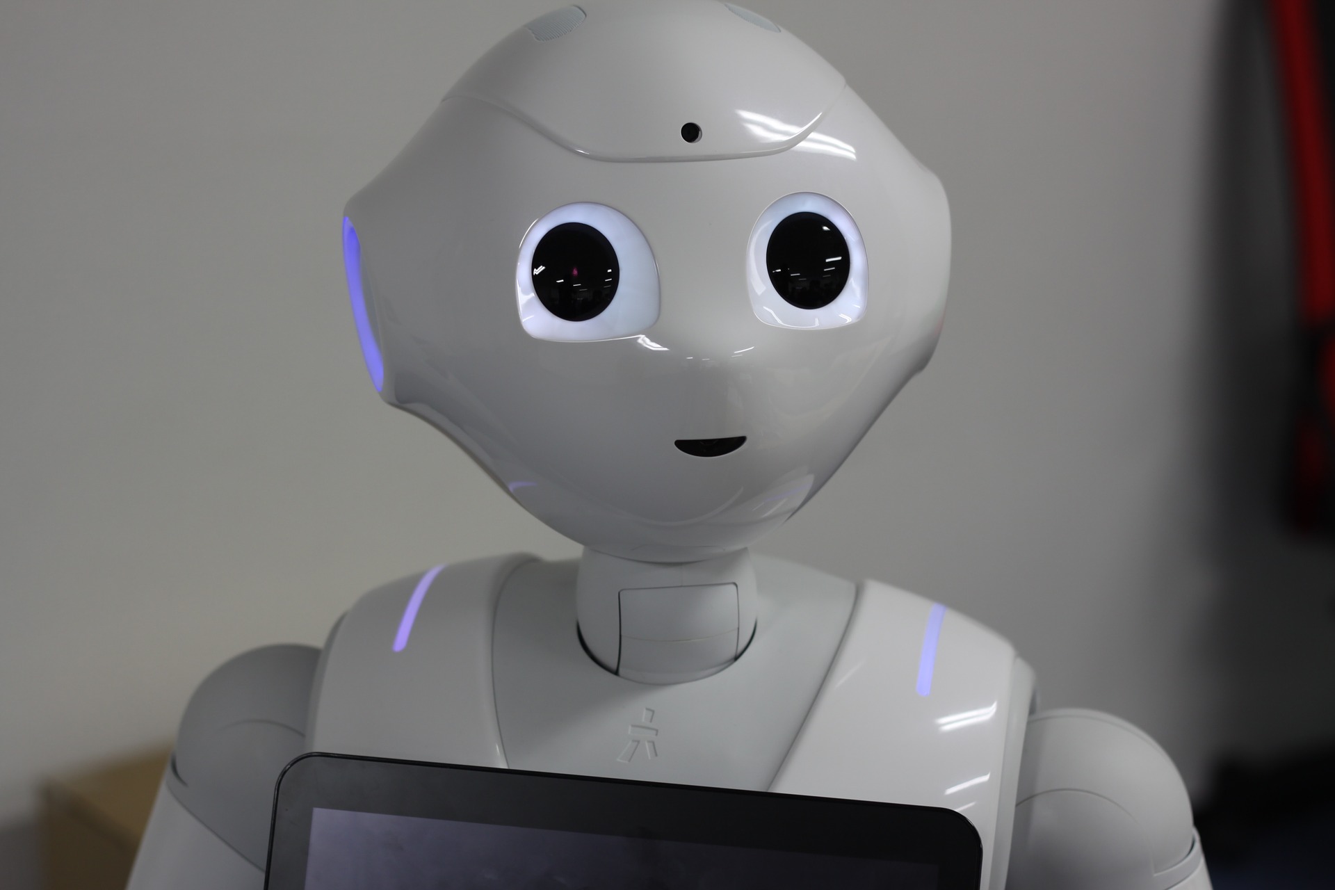 The SoftBank Story