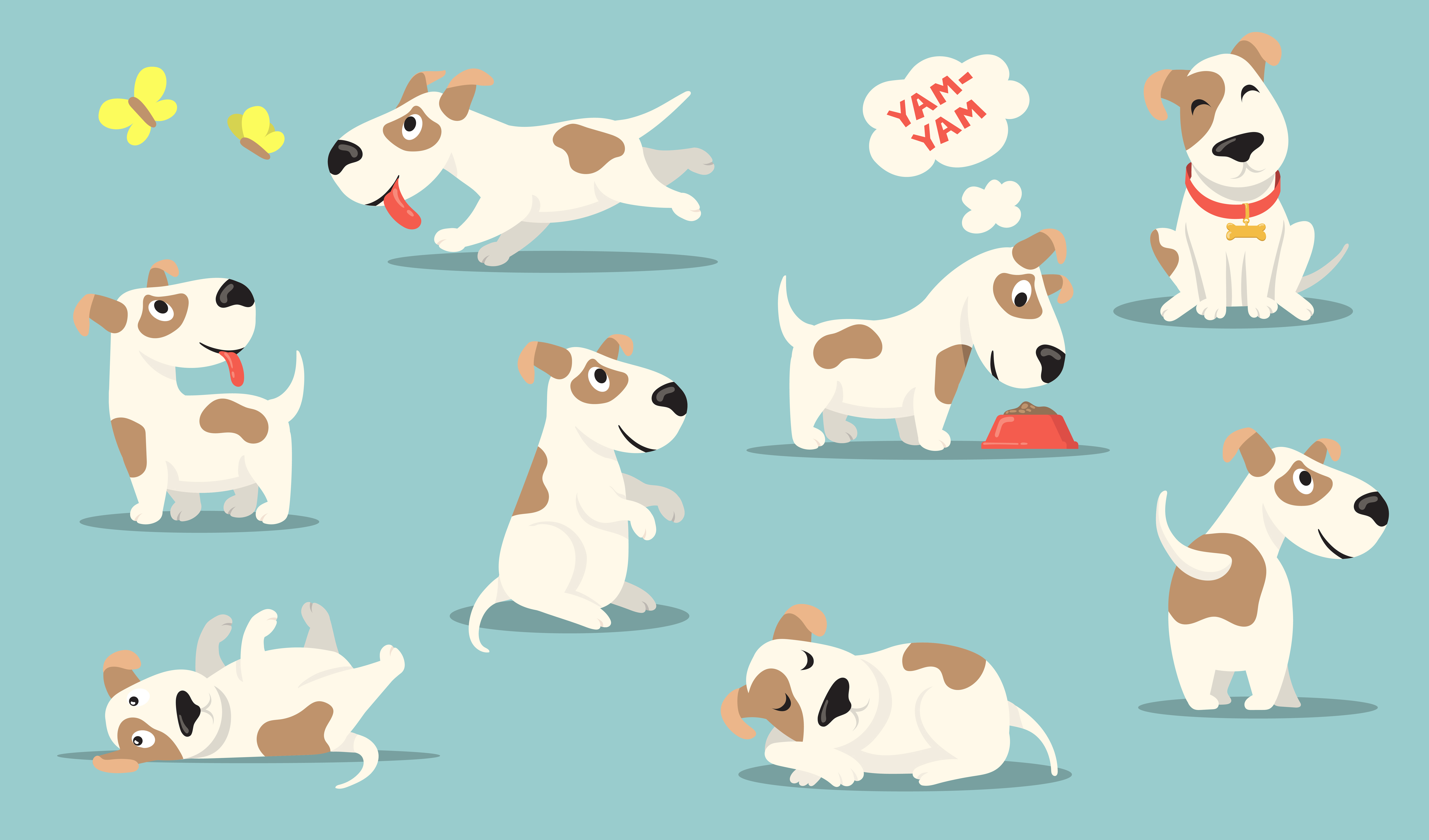 The Anatomy of a Spoilt Dog